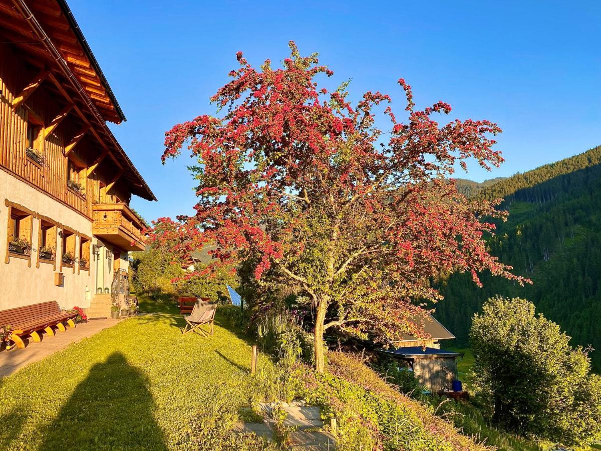 Alm Seasons Premium Chalet & Studios Σάαλμπαχ-Χίντεργκλεμ Εξωτερικό φωτογραφία
