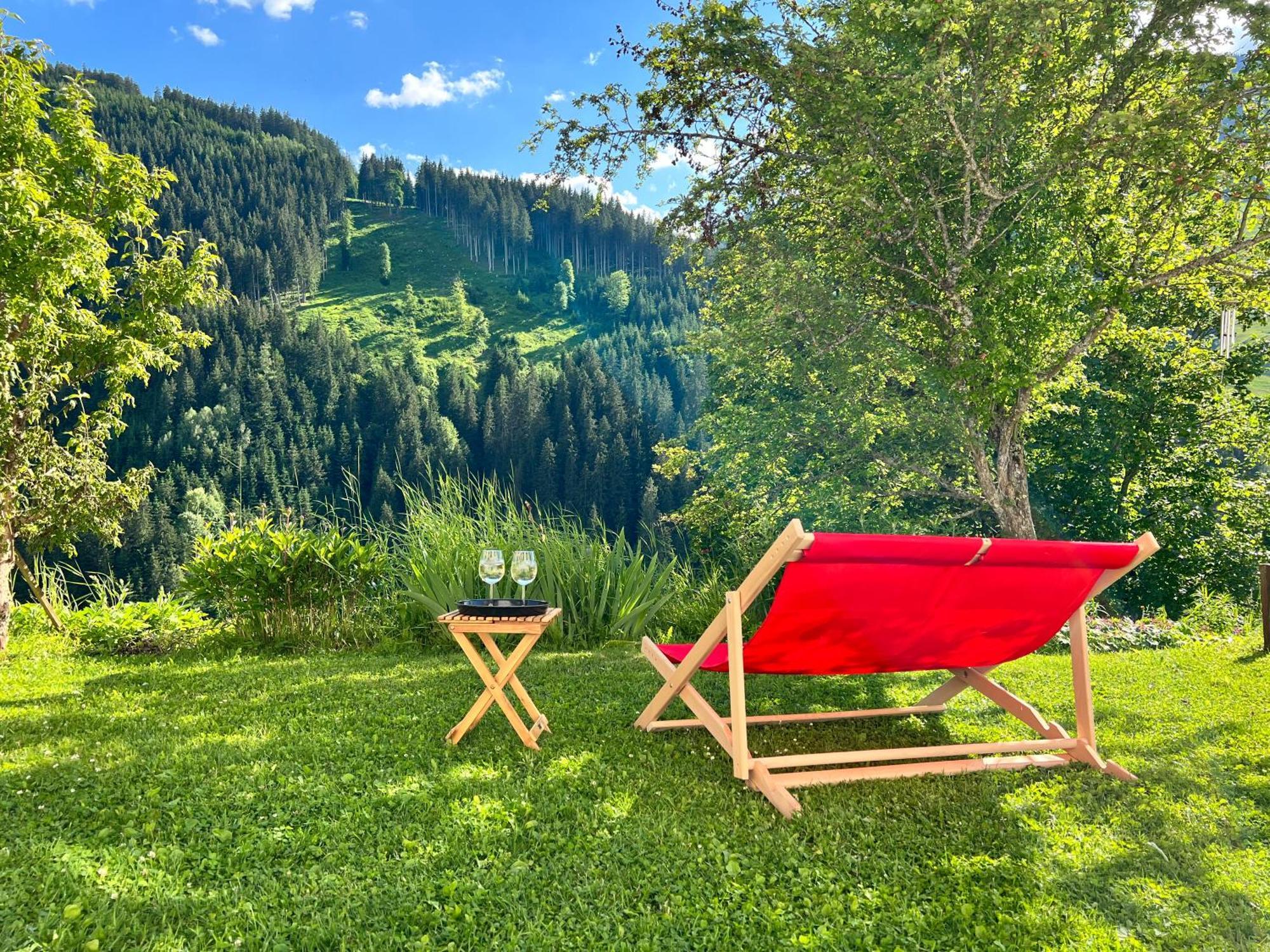 Alm Seasons Premium Chalet & Studios Σάαλμπαχ-Χίντεργκλεμ Εξωτερικό φωτογραφία