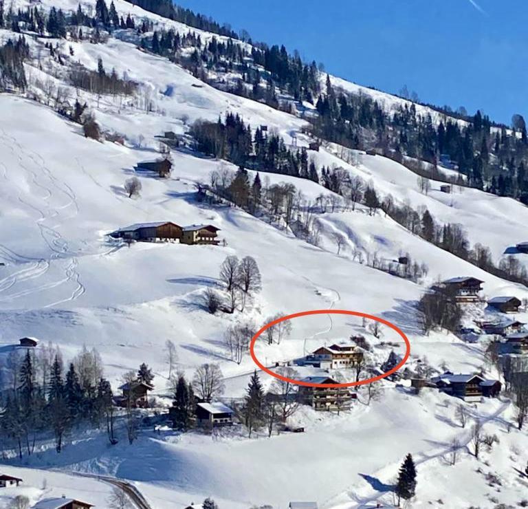 Alm Seasons Premium Chalet & Studios Σάαλμπαχ-Χίντεργκλεμ Εξωτερικό φωτογραφία