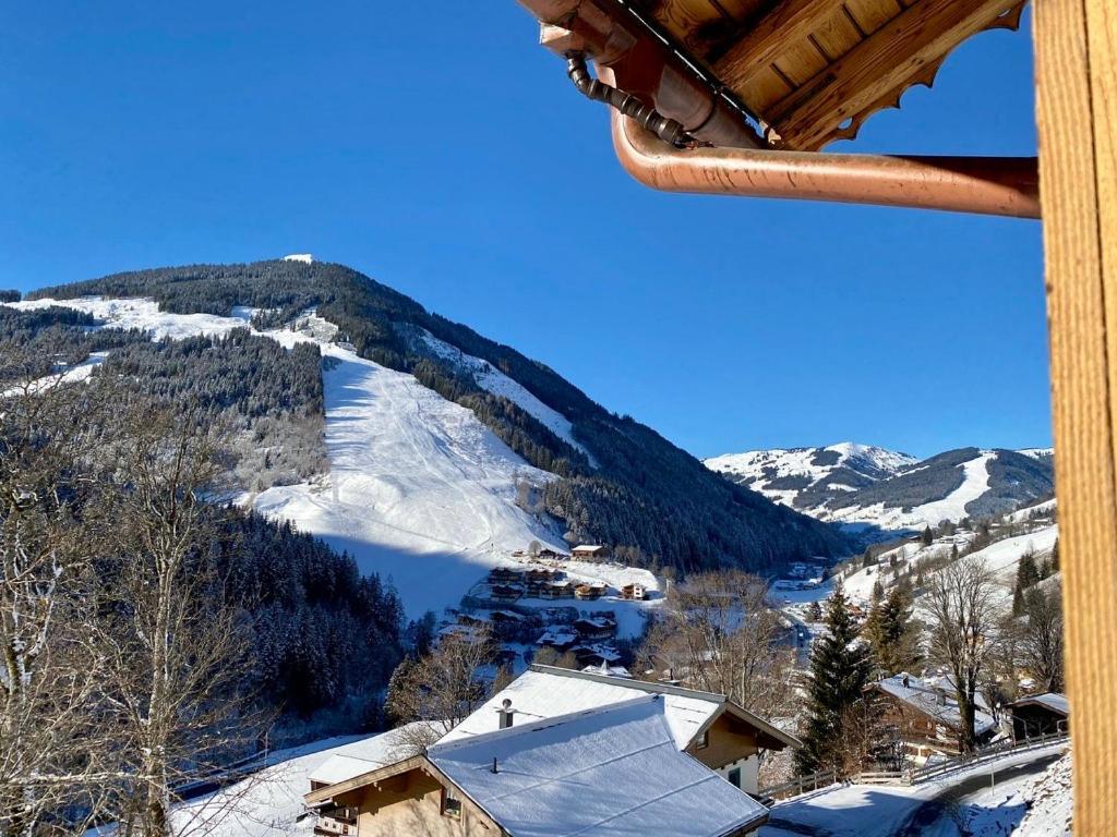 Alm Seasons Premium Chalet & Studios Σάαλμπαχ-Χίντεργκλεμ Εξωτερικό φωτογραφία