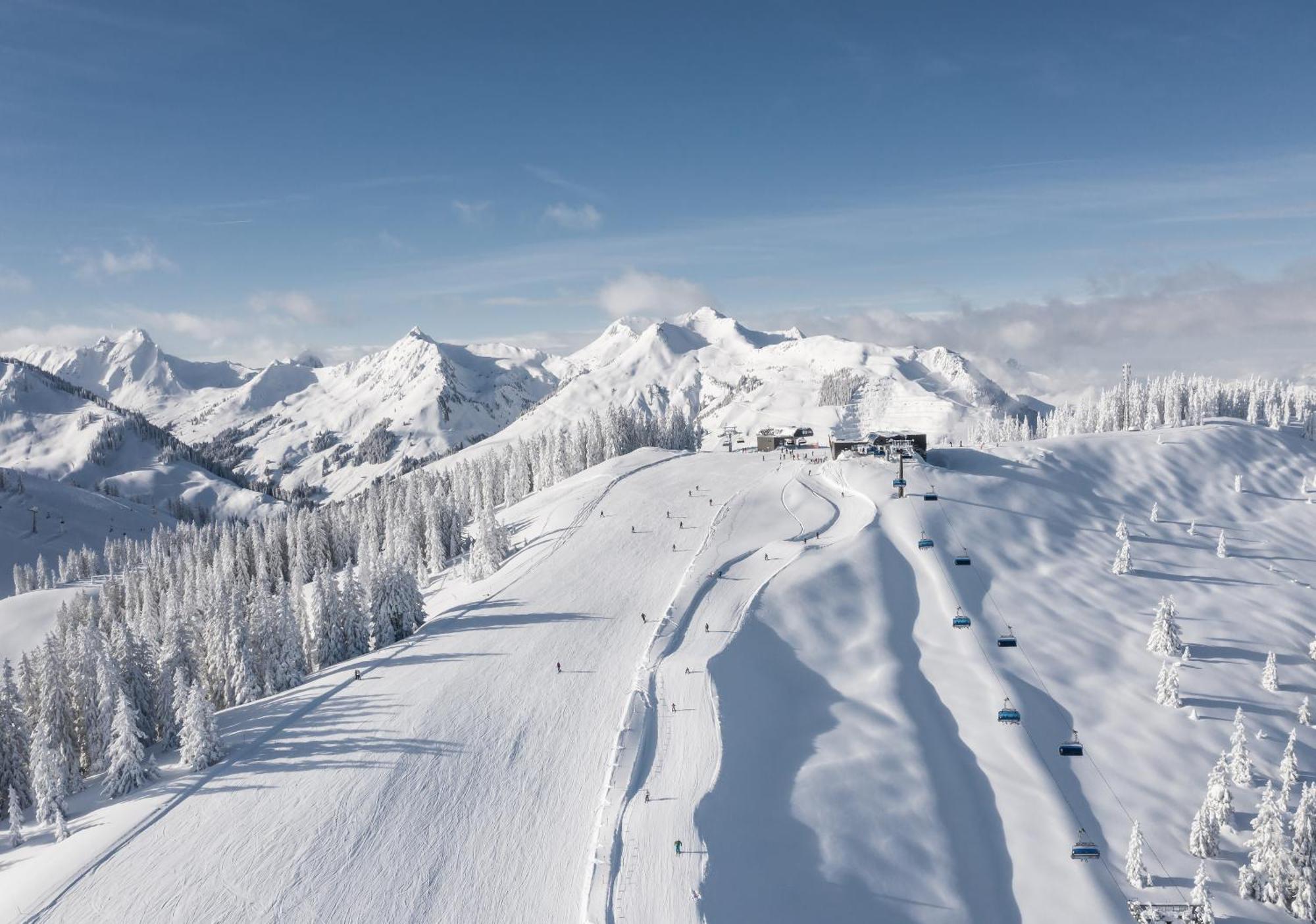 Alm Seasons Premium Chalet & Studios Σάαλμπαχ-Χίντεργκλεμ Εξωτερικό φωτογραφία